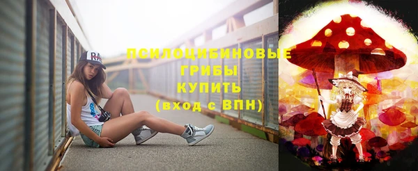 ешки Алексин