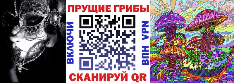 МЕГА сайт  Кировград  Псилоцибиновые грибы GOLDEN TEACHER  где можно купить наркотик 